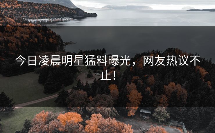 今日凌晨明星猛料曝光，网友热议不止！