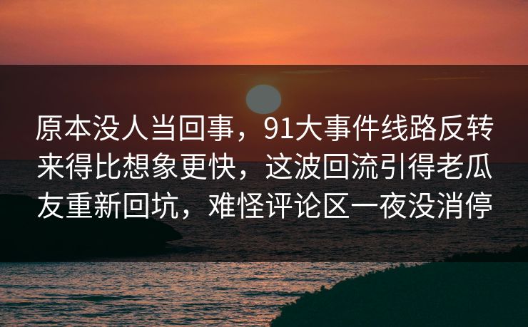 原本没人当回事，91大事件线路反转来得比想象更快，这波回流引得老瓜友重新回坑，难怪评论区一夜没消停