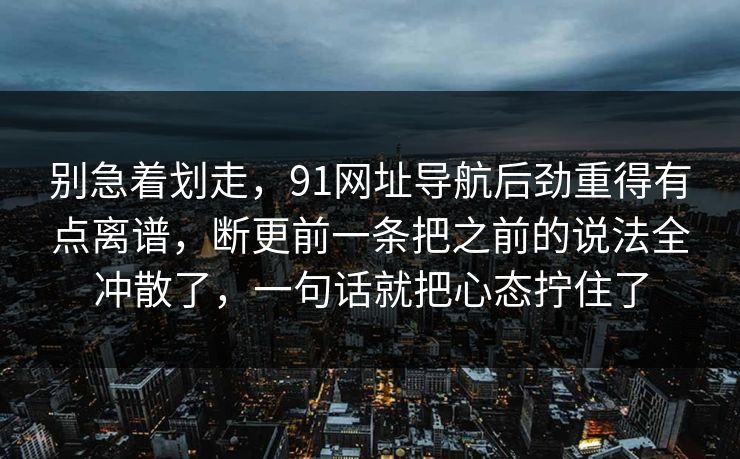 别急着划走，91网址导航后劲重得有点离谱，断更前一条把之前的说法全冲散了，一句话就把心态拧住了